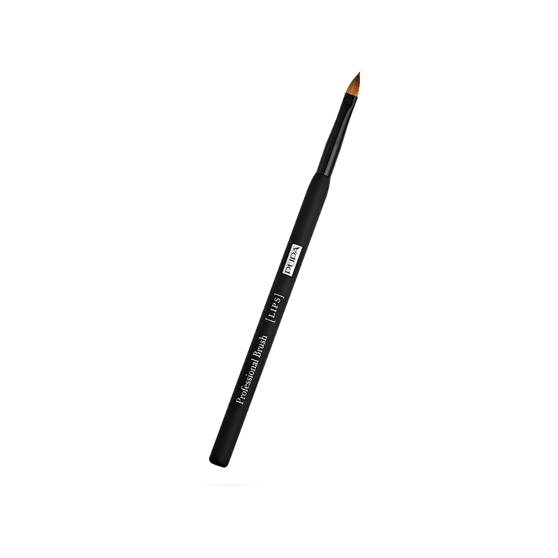 Lip brush